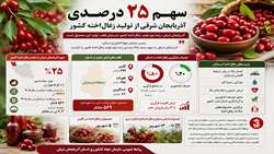  آذربایجان شرقی؛ رتبه دوم تولید زغال‌اخته کشور 